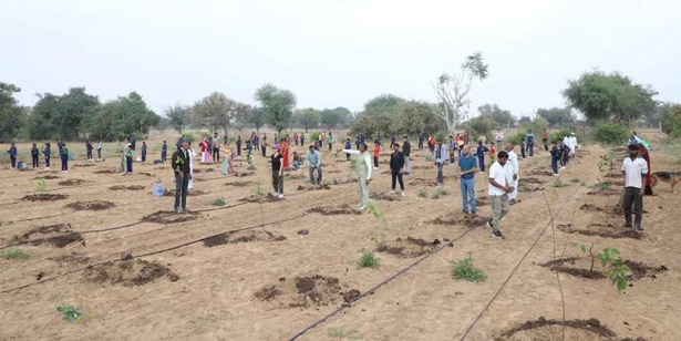 Go Green, Grow Green plantation drive